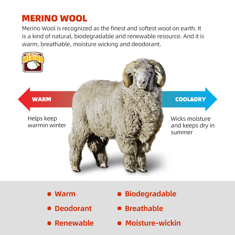 ZEALWOOD Merino Wool Running S - Wool Hiking Sock review and price